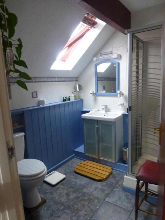 Ty Carreg Llanwrtyd Wells Room photo