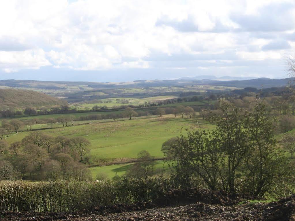Ty Carreg Llanwrtyd Wells Exterior photo