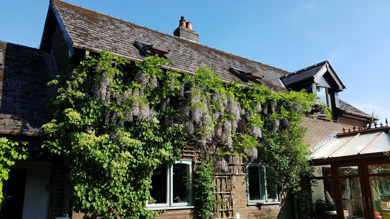 Ty Carreg Llanwrtyd Wells Exterior photo